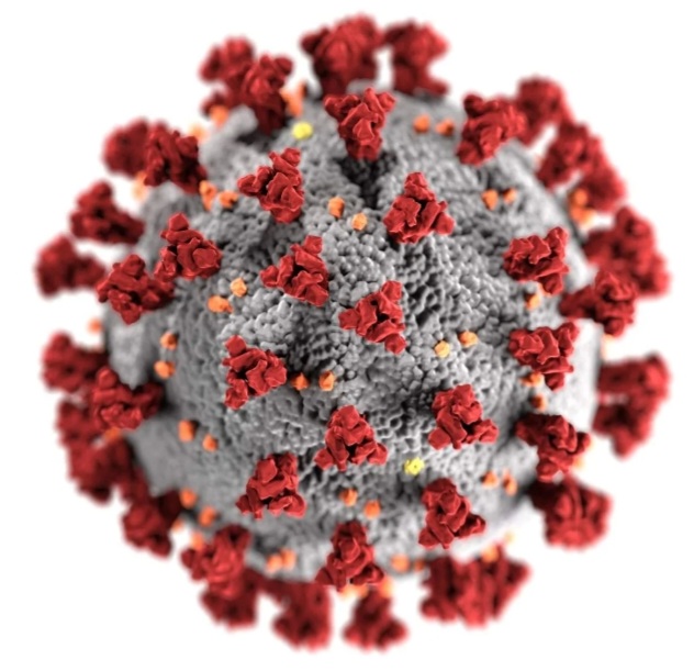 Continuing the fight against Covid-19