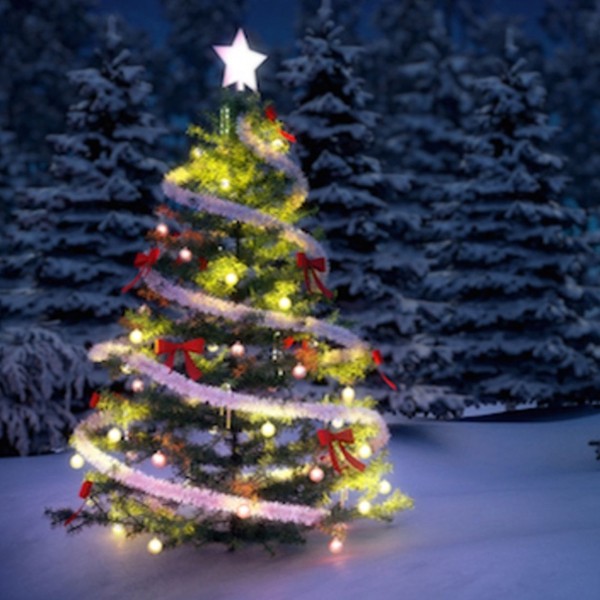 Christmas and Black Friday!!!